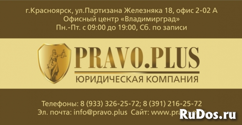 Профессиональная юридическая помощь изображение 3