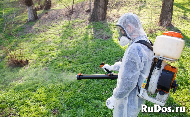 Клещи и Осы обработка дачных земельных участков фото