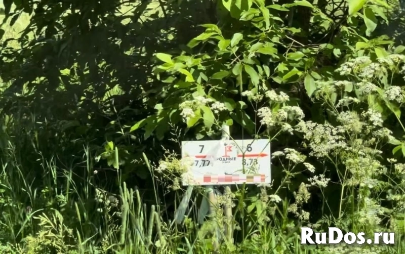 Продам участок 7 сот. изображение 4