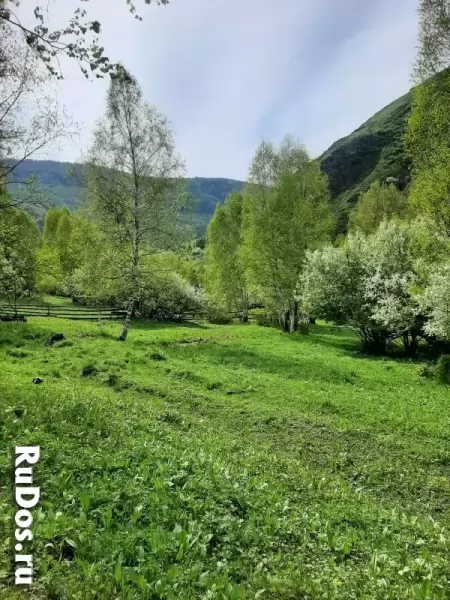 Участок 7.5 сот на Алтае в горах у речки, в дали от цивилизации. фотка