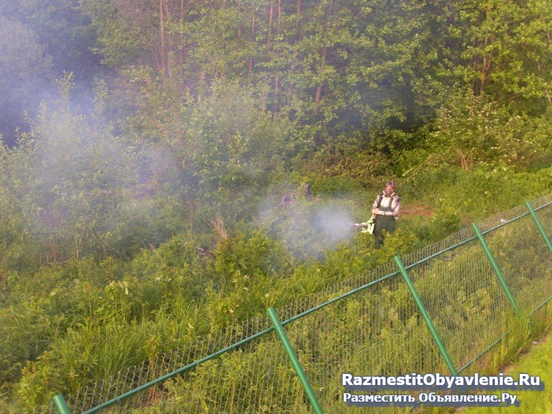 Акарицидная обработка борьба клещи комары Истра фотка