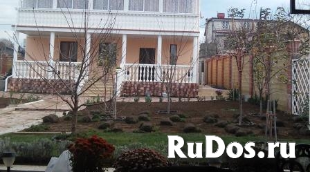 Посадка плодового сада фото