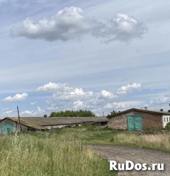 Земля 23 га продается фото