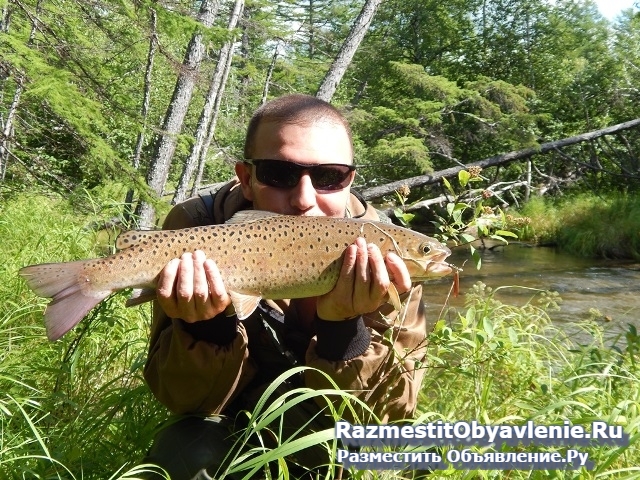 Увлекательная рыбалка на севере Сахалина изображение 4