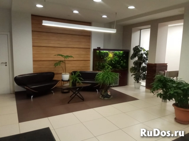 Сдам коммерческую недвижимость 54.5 м2 изображение 3