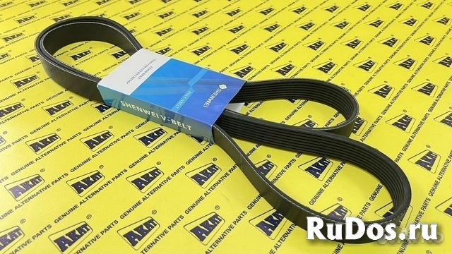 Ремень поликлиновый OEM R135609 изображение 5