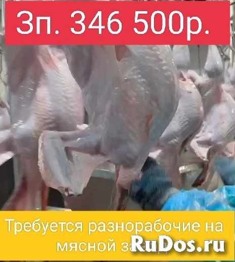 Требуются разнорабочие на мясной завод фото