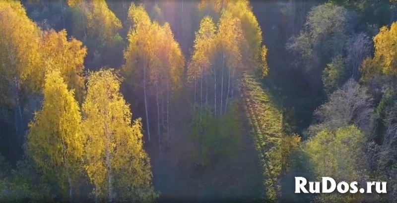 Продам участок 130 сот. изображение 4