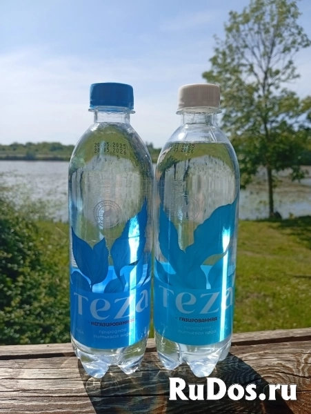 Вода «ТЕЗА» оптом — природная родниковая 0,5 л и 1,5 л (газ/негаз) изображение 3