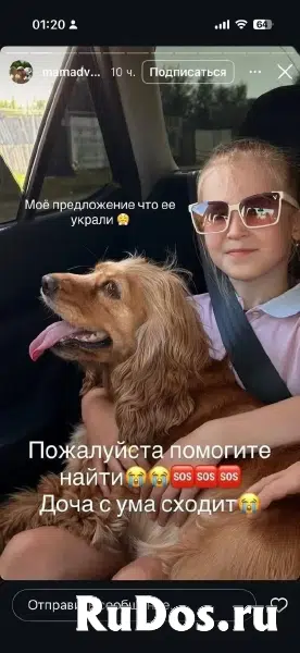 Волонтеры, обязательно к прочтению изображение 4