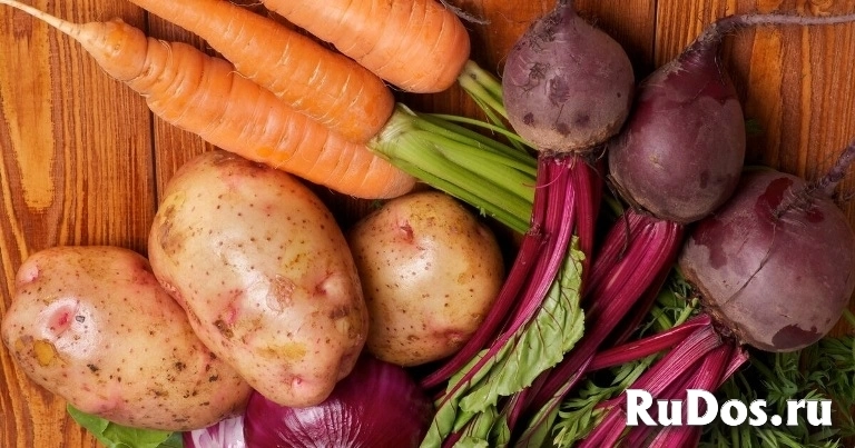 Овощи для борща оптом изображение 11