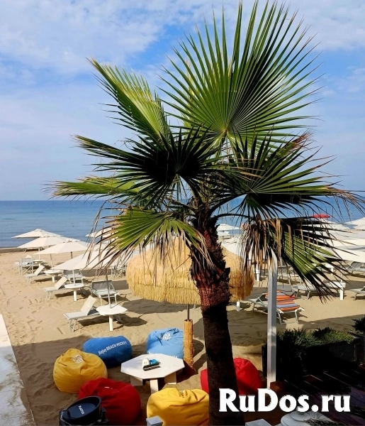 Аренда мансарды для отдыха на морском курорте Анцио в Италии изображение 12