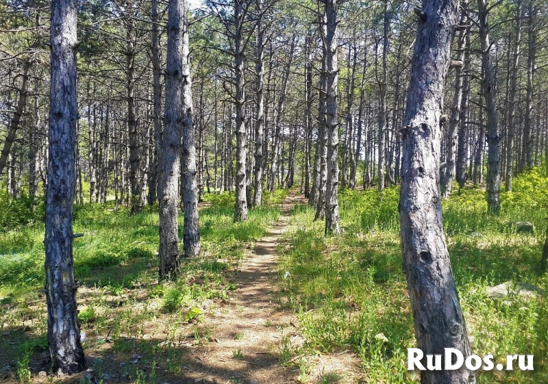 Продам дом, г. Севастополь, СТ Аленушка изображение 6