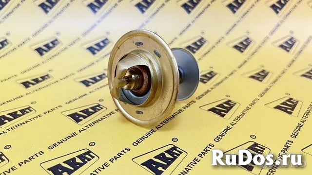 Термостат TECTOR FPT 81° ОЕМ 504038890 фото