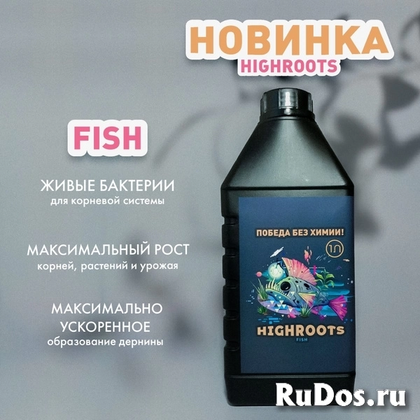 Интернет-магазин «Растишка ТЛТ» - товары для растениеводства изображение 4