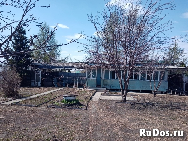 Дача СНТ Нива-82 фотка