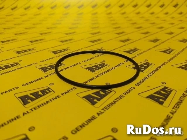 Уплотнительное кольцо 028613 OEM изображение 4
