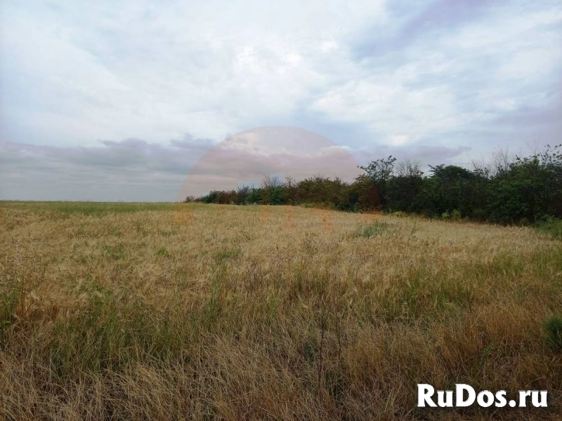 Продам участок 495 сот. изображение 4