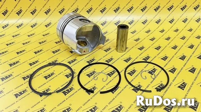 Поршень в сборе STD PN-36100 изображение 3