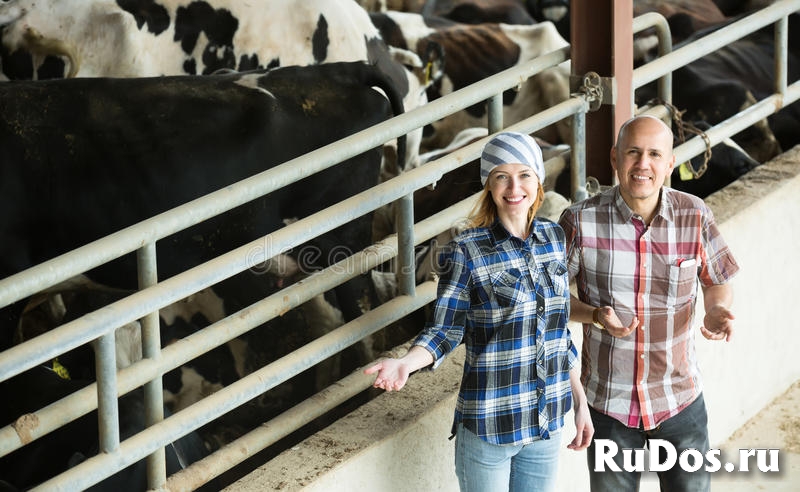 Скотник разнорабочий фото