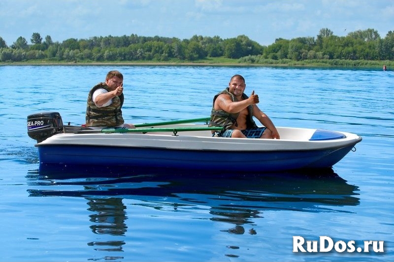 Купить лодку Пингвин изображение 6