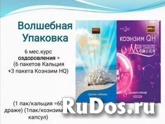 Коэнзим QH с Лактобактериями Япония изображение 3