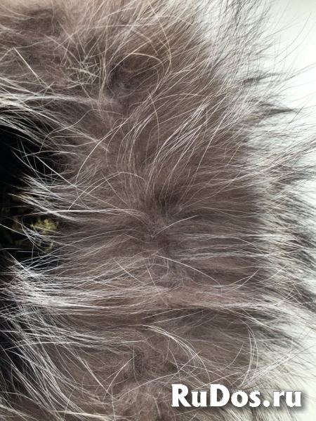 Шапка женская новая мех чернобурка хвост меховая разное 44 46 м р изображение 9