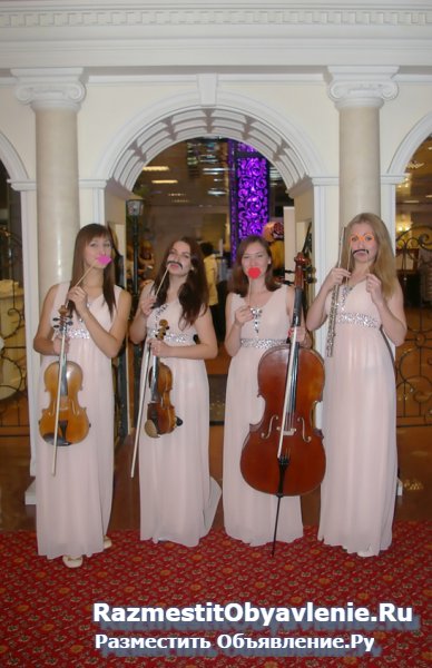 Скрипачка на праздник. Электро-скрипка. изображение 6