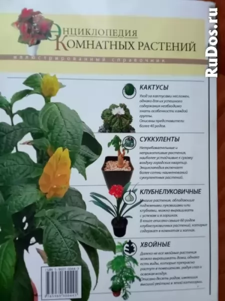 Энциклопедия комнатных растений новая иллюстрированная фотка