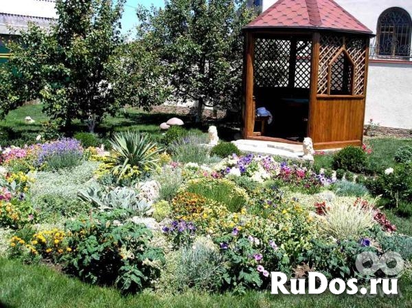 Альпийские горки устройство изображение 3