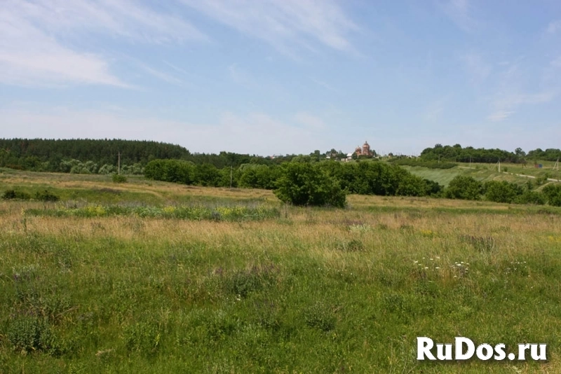 Земля у реки под строительство коттеджного поселка и базы отдыха изображение 3