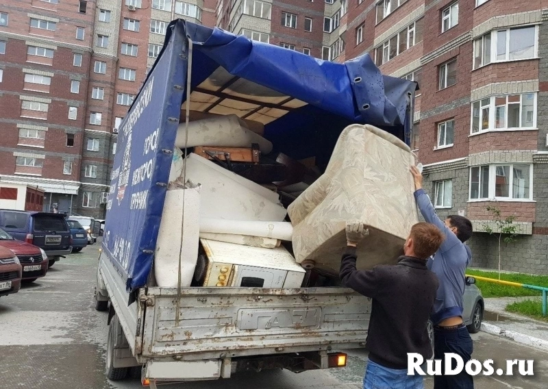 Вывоз и утилизация старой мебели на полигон фото