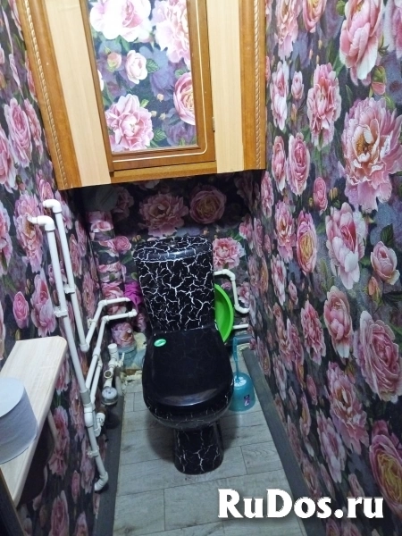 с. Новосёлки изображение 8