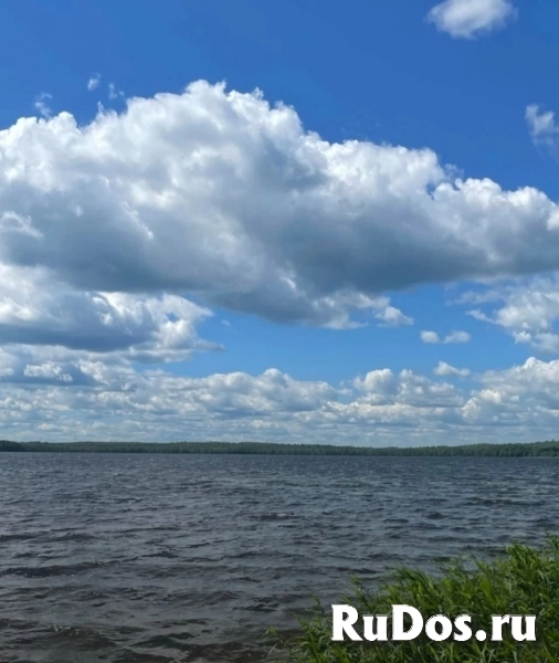 Участок 2.93 га в Ярославской области изображение 5