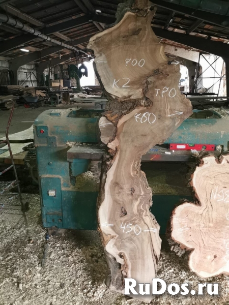 Слэбы из дуба, ясеня, шпальтового бука, капового тополя, вербы изображение 3