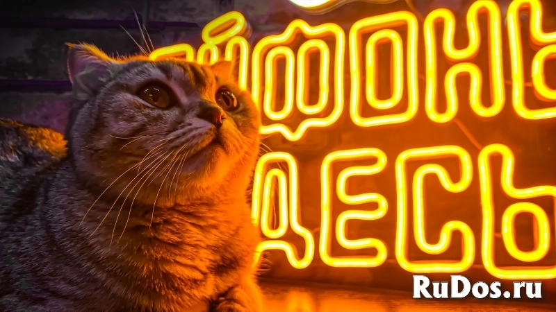 Изготовление Неоновых Вывесок от 3 дней изображение 10