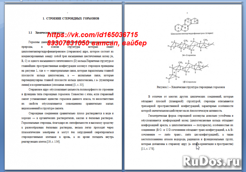 Лабораторные работы для студентов. Курсовые работы. Повышение уни фотка