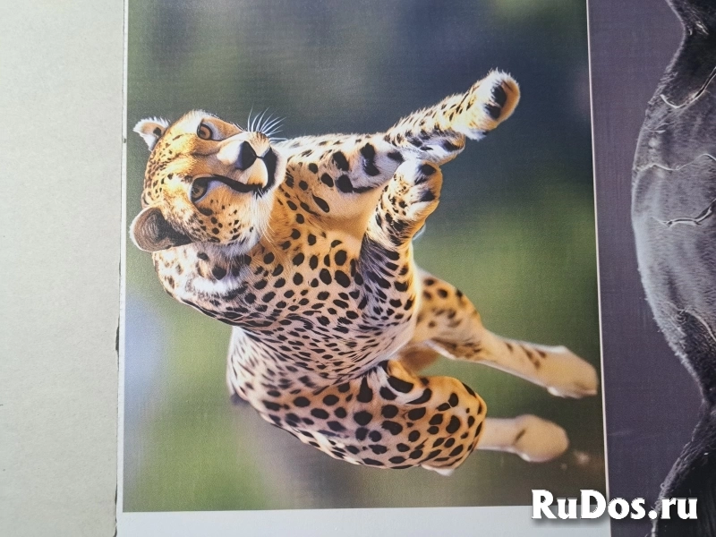 Вертикальная УФ печать на любых поверхностях,роспись стен. изображение 4