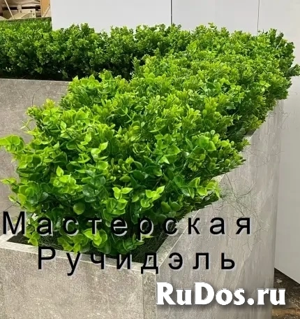 Искусственные растения для офиса, фито-композиции на заказ изображение 3