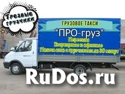 Услуги трезвых грузчиков изображение 3
