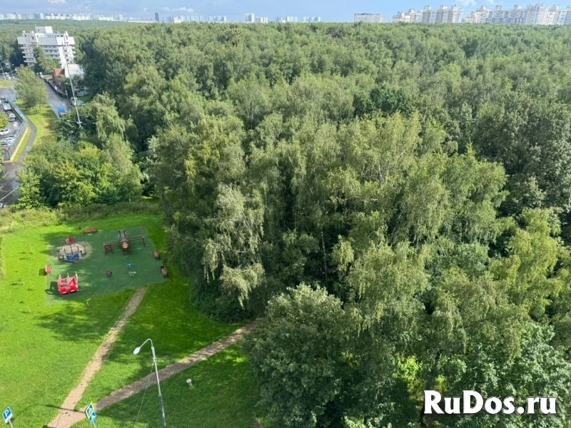 Квартира рядом с м. Тропарево, 2 комнаты изображение 4