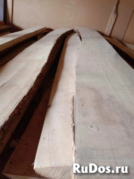 Дуб, ясень, карагач, акация, доска, брус оптом. изображение 3