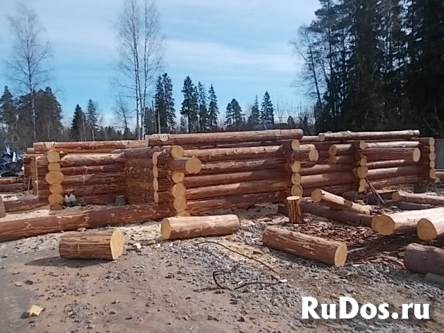 Каркасы, хоз постройки, веранды изображение 3