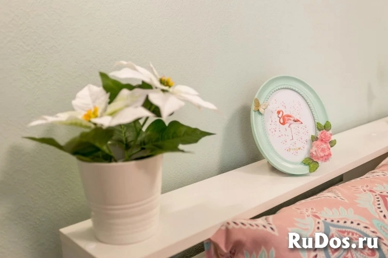 Сдам 1 комнатную квартиру 26 м2 изображение 9