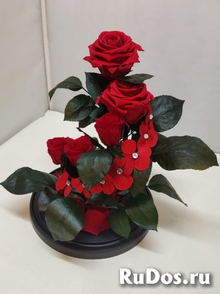 Роза в колбе оптом изображение 4