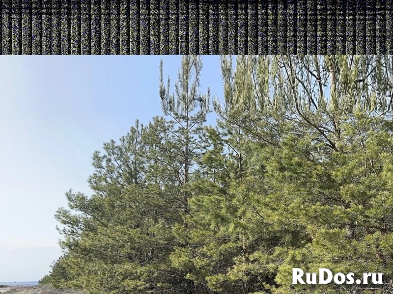 Продам землю фотка