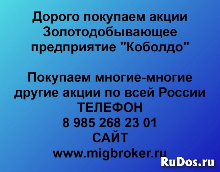 Покупаем акции Золотодобывающее предприятие Коболдо фото