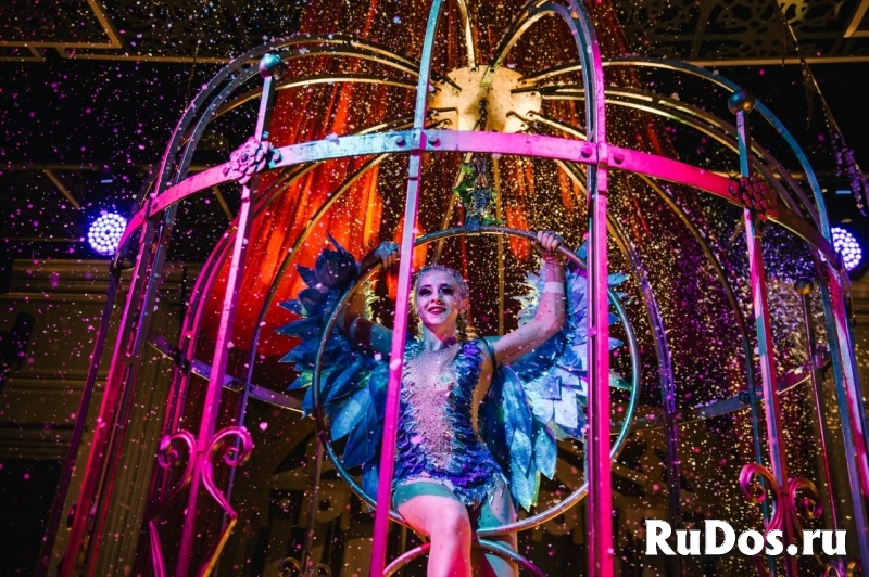 Шоу в клетке «Райская птичка» с подачей шампанског изображение 6