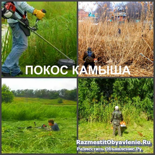 Покос травы Воронеж, косить траву в Воронеже фотка