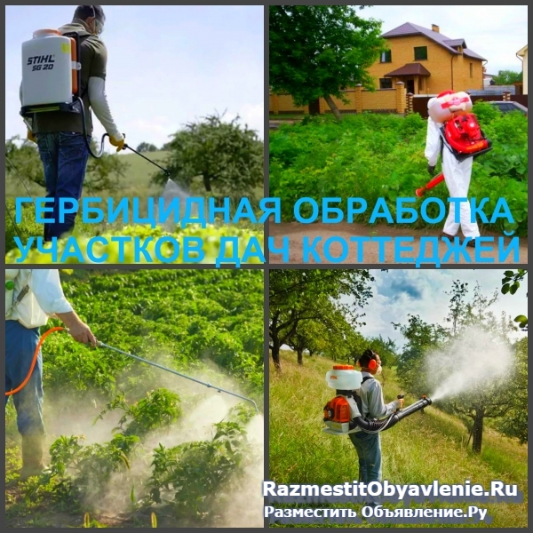 Гербицидная обработка Воронеж, от сорняков фотка